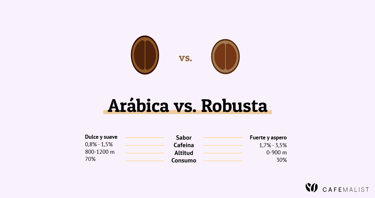 diferencias entre tipos de granos arabica y robusta